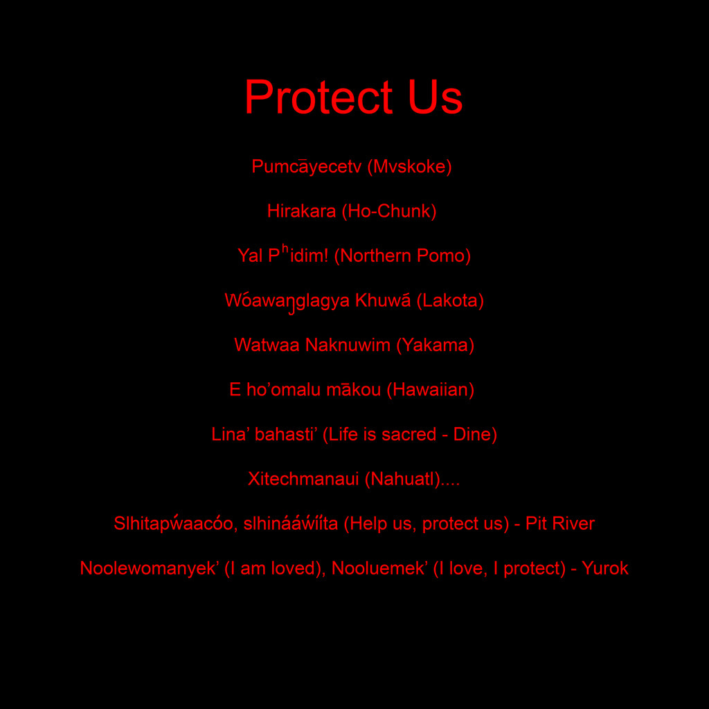 MMIP (Missing and murderd indigenous persons) - Hoodie